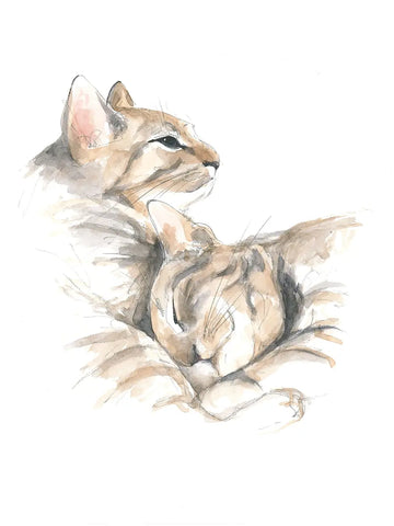 Illustration von zwei beige Katzen, die kuscheln.