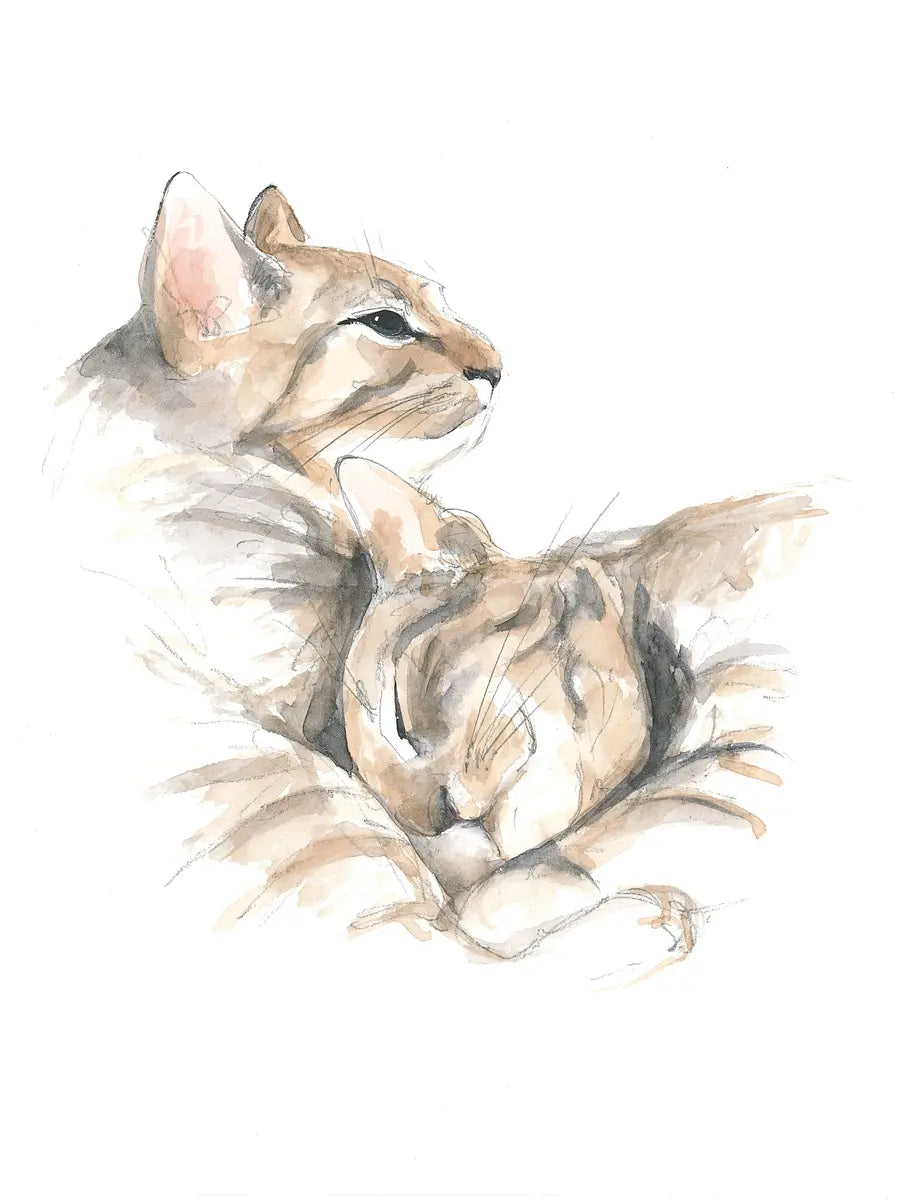 Illustration von zwei beige Katzen, die kuscheln.