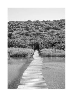 Schwarzweiß-Fotografie eines Holzstegs über einen Fluss, der in einen Wald führt.