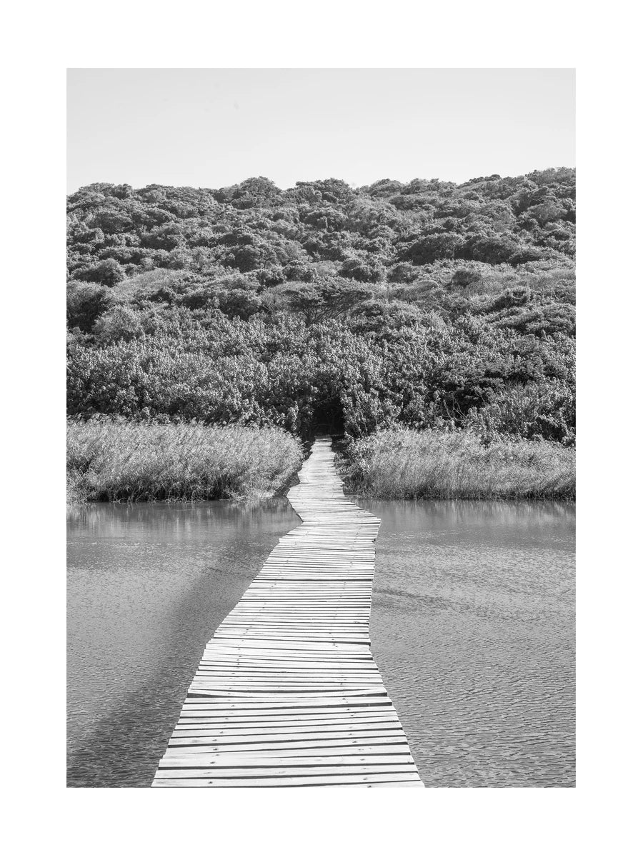 Schwarzweiß-Fotografie eines Holzstegs über einen Fluss, der in einen Wald führt.