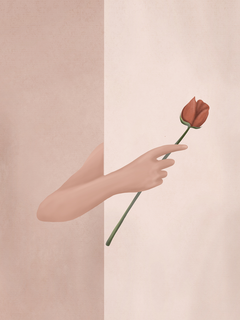 Illustration einer Hand, die eine rote Rose auf einem zweigeteilten rosa Hintergrund hält.