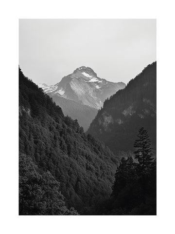 Schwarz-Weiß-Fotografie eines Berges mit schneebedecktem Gipfel und grünen Bäumen im Vordergrund.