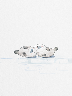 Illustration von zwei Babyrobben auf einer Eisscholle.
