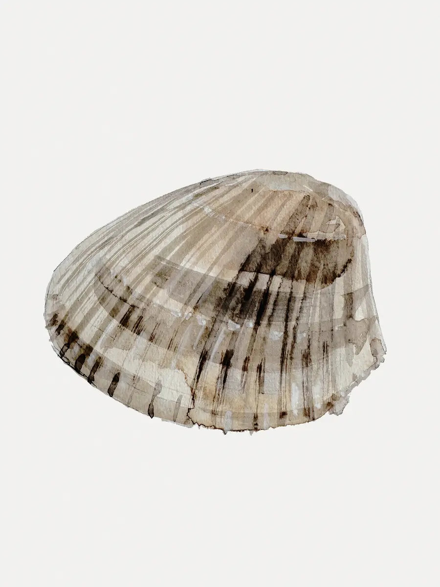 Seashell Serenity Poster