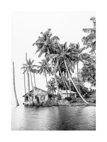 Schwarz-Weiß-Fotografie eines Hauses am Wasser, umgeben von Palmen.