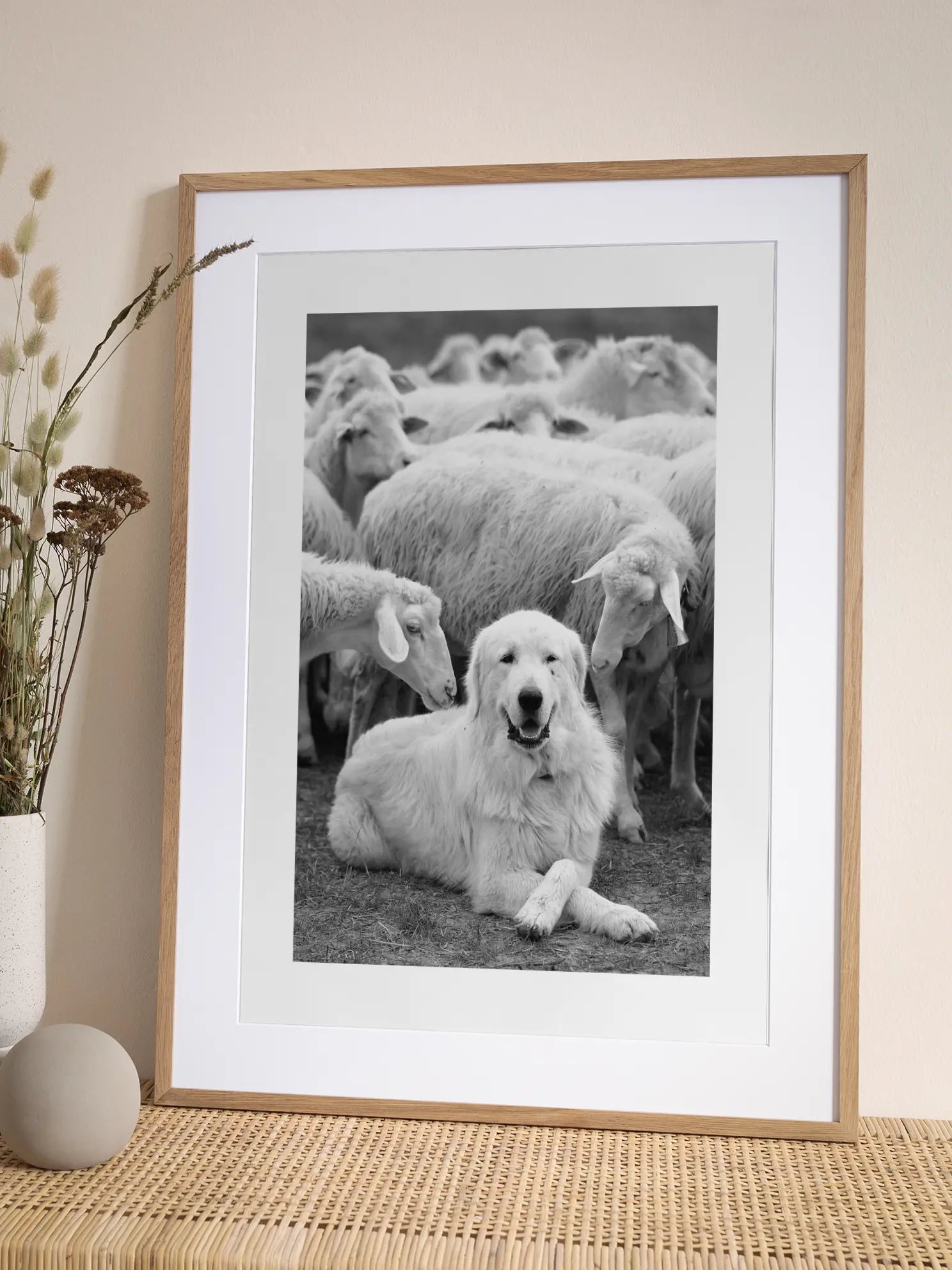 Sheep Dog Poster