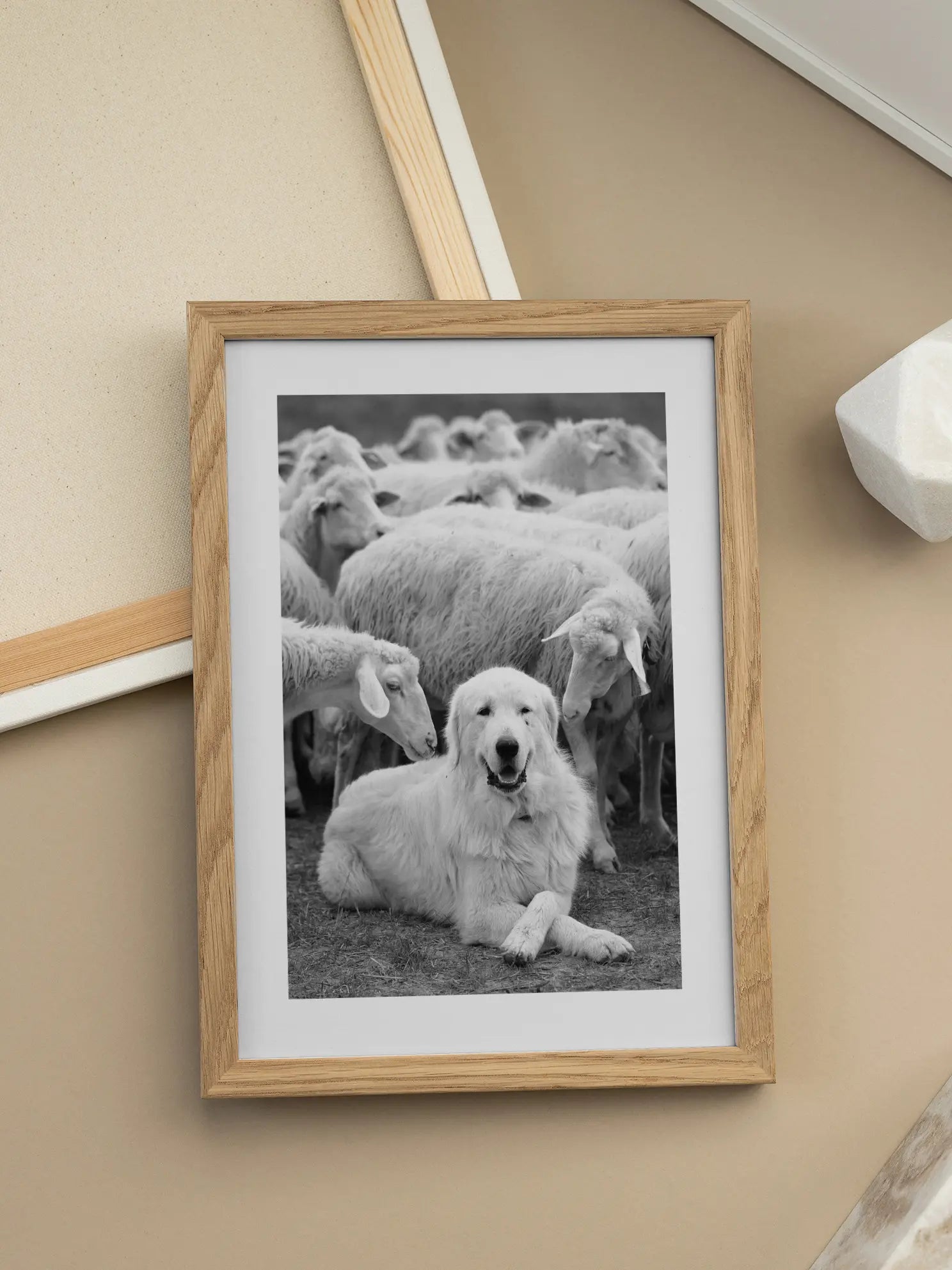Sheep Dog Poster