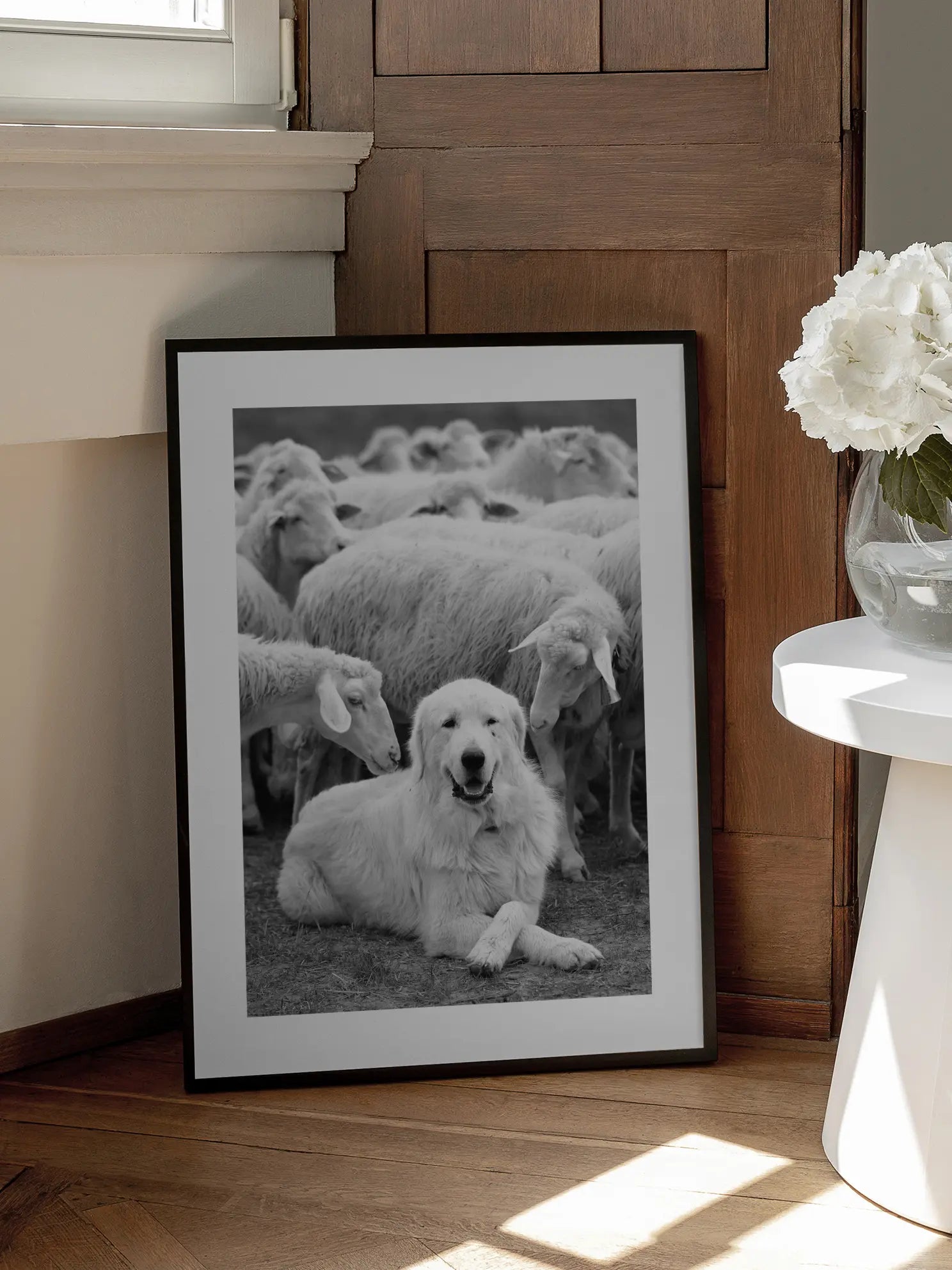 Sheep Dog Poster