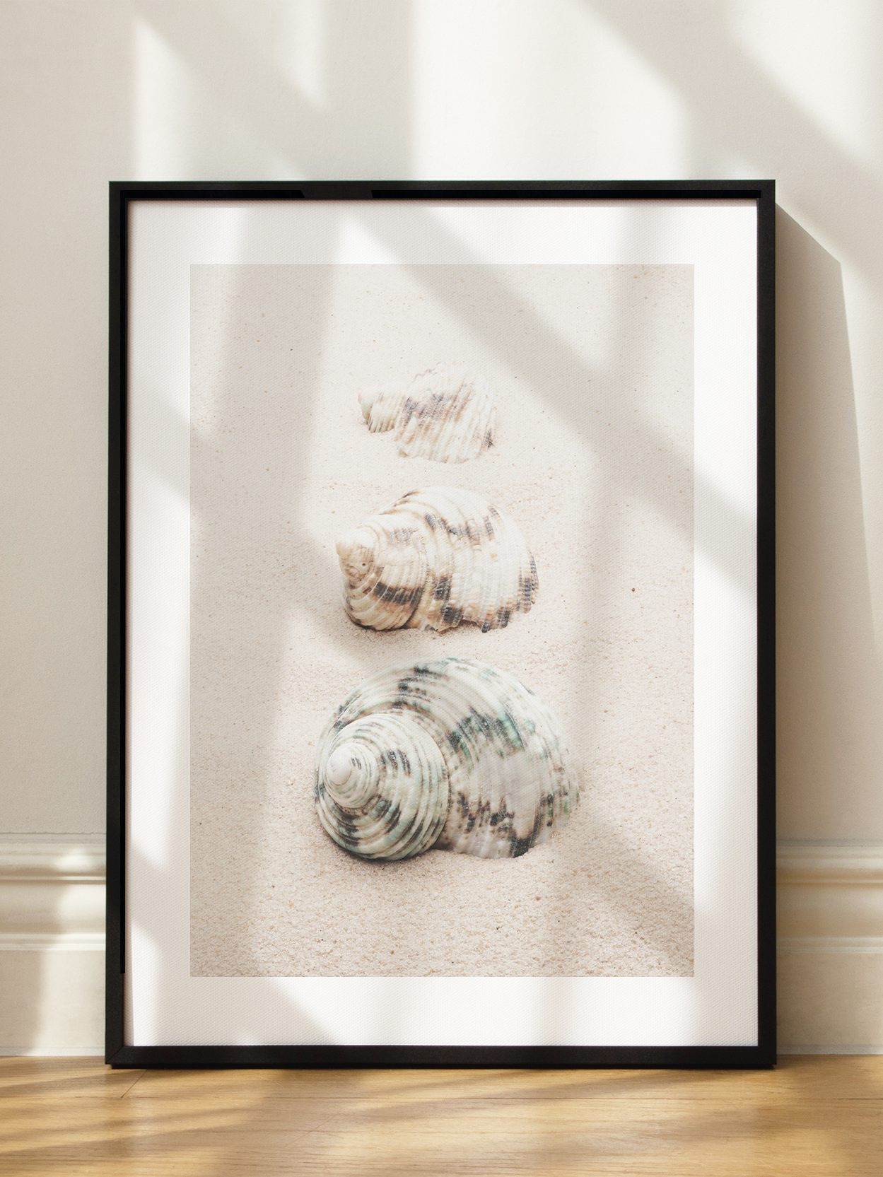Shells Poster