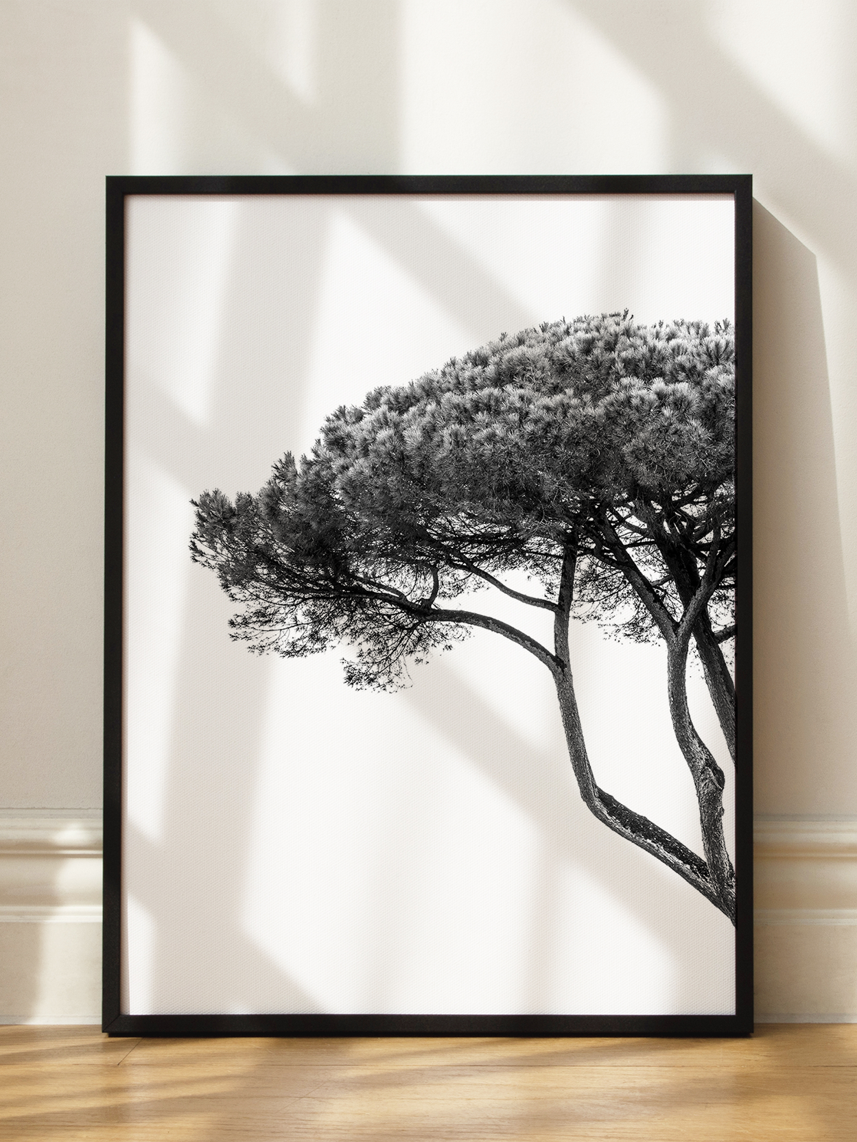 Silent Canopy Tree