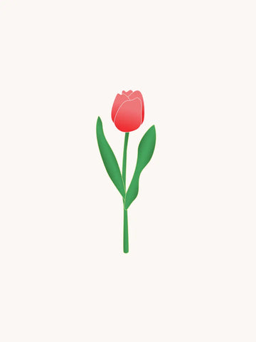 Eine einzelne rote Tulpe mit grünen Blättern auf einem hellen beigen Hintergrund.