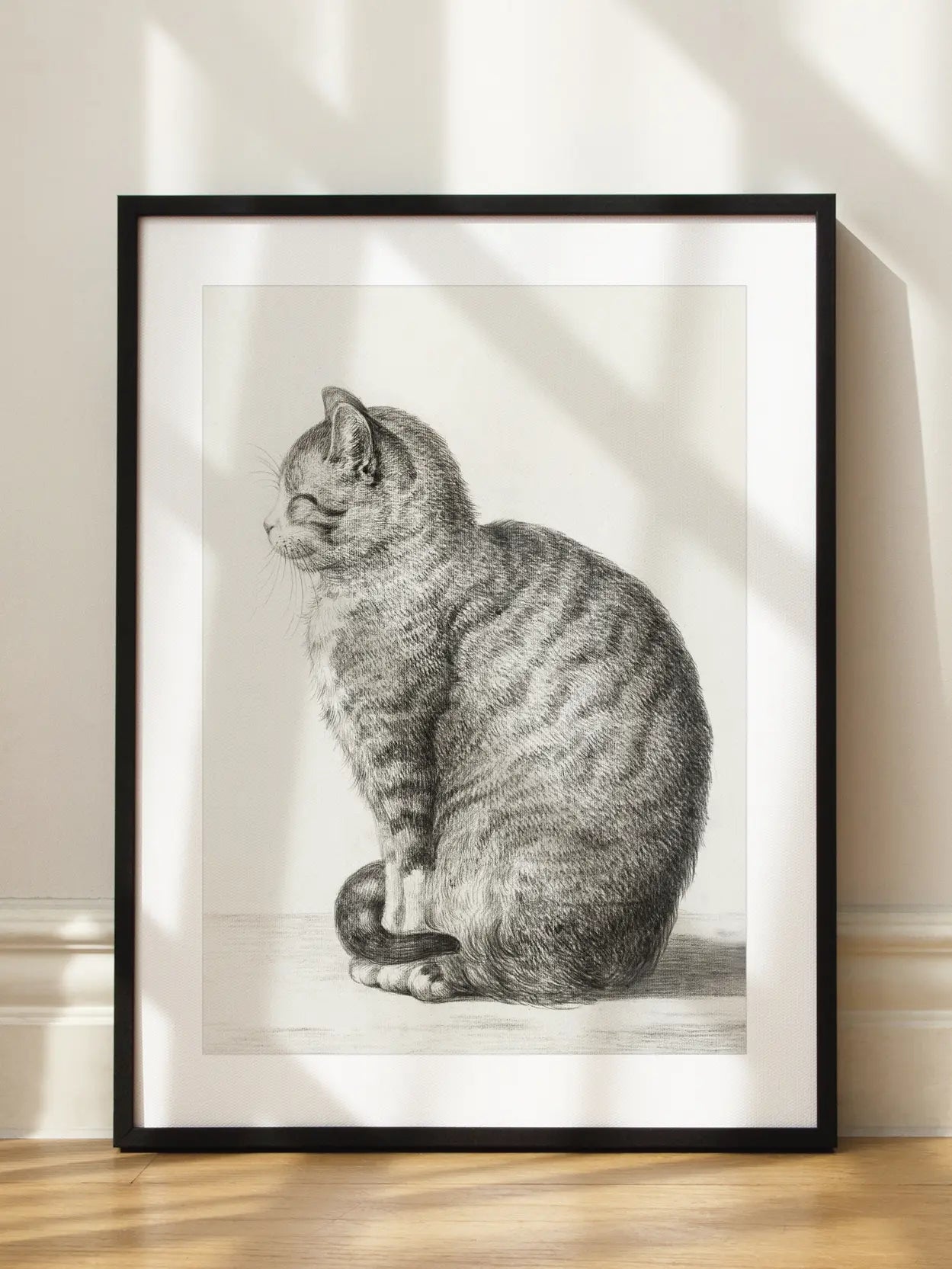 Sitting Cat Poster