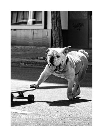 Schwarz-weiß-Fotografie eines Hundes, der auf einem Skateboard fährt.