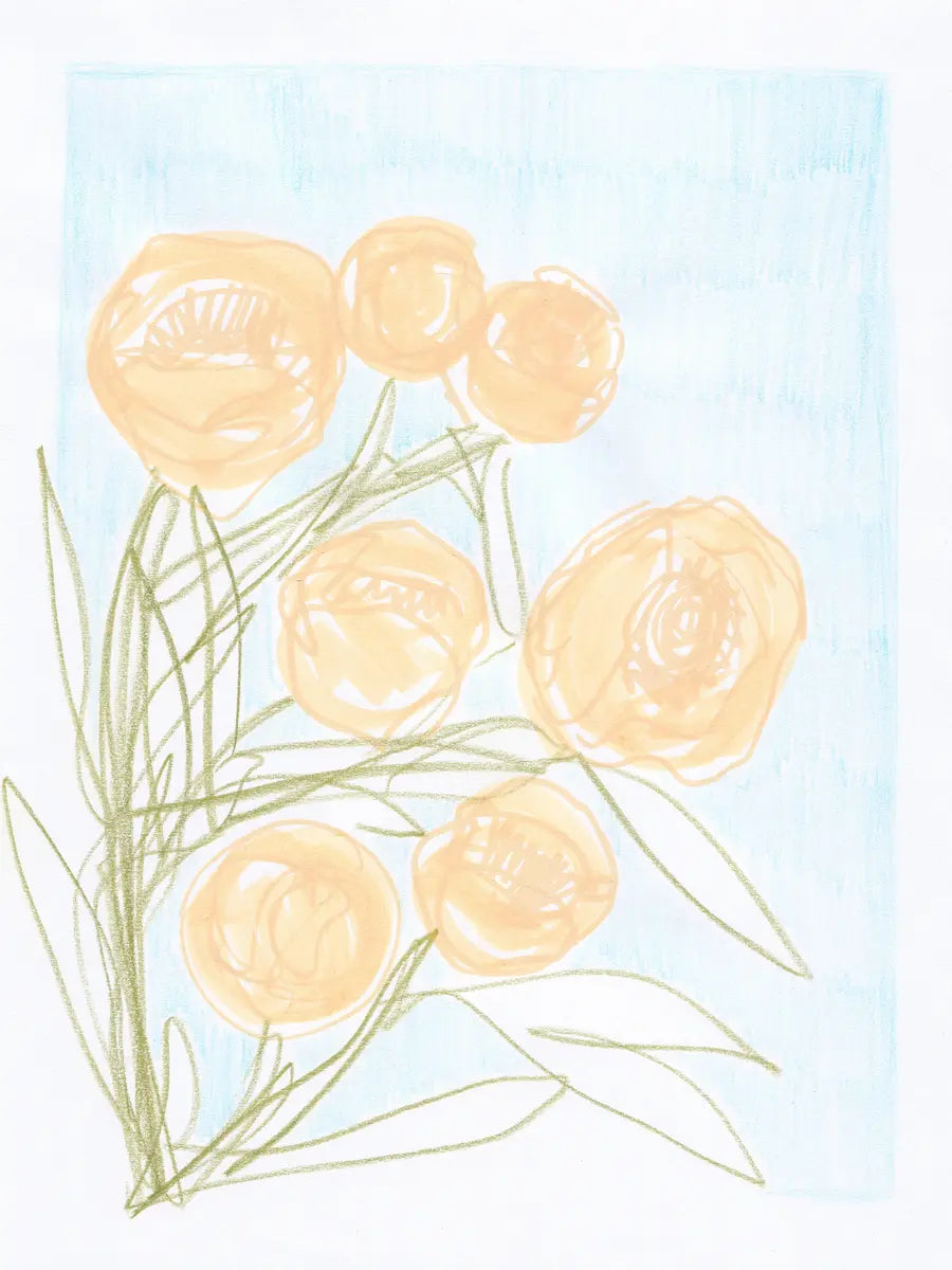 Eine lockere Bleistiftskizze von mehreren runden orangefarbenen Blüten auf hellblauem Hintergrund.