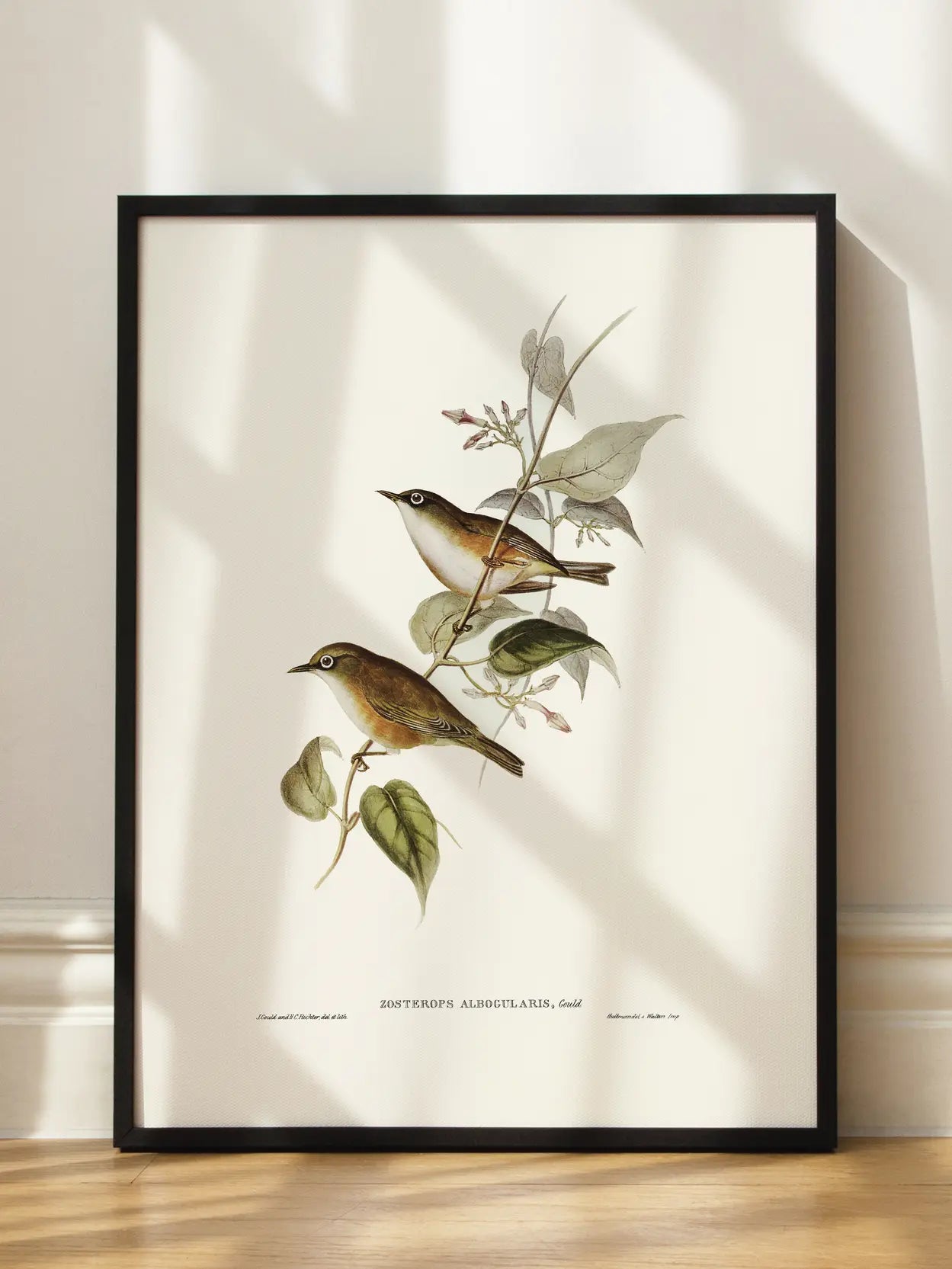 Small Birds Branch Illustration Poster