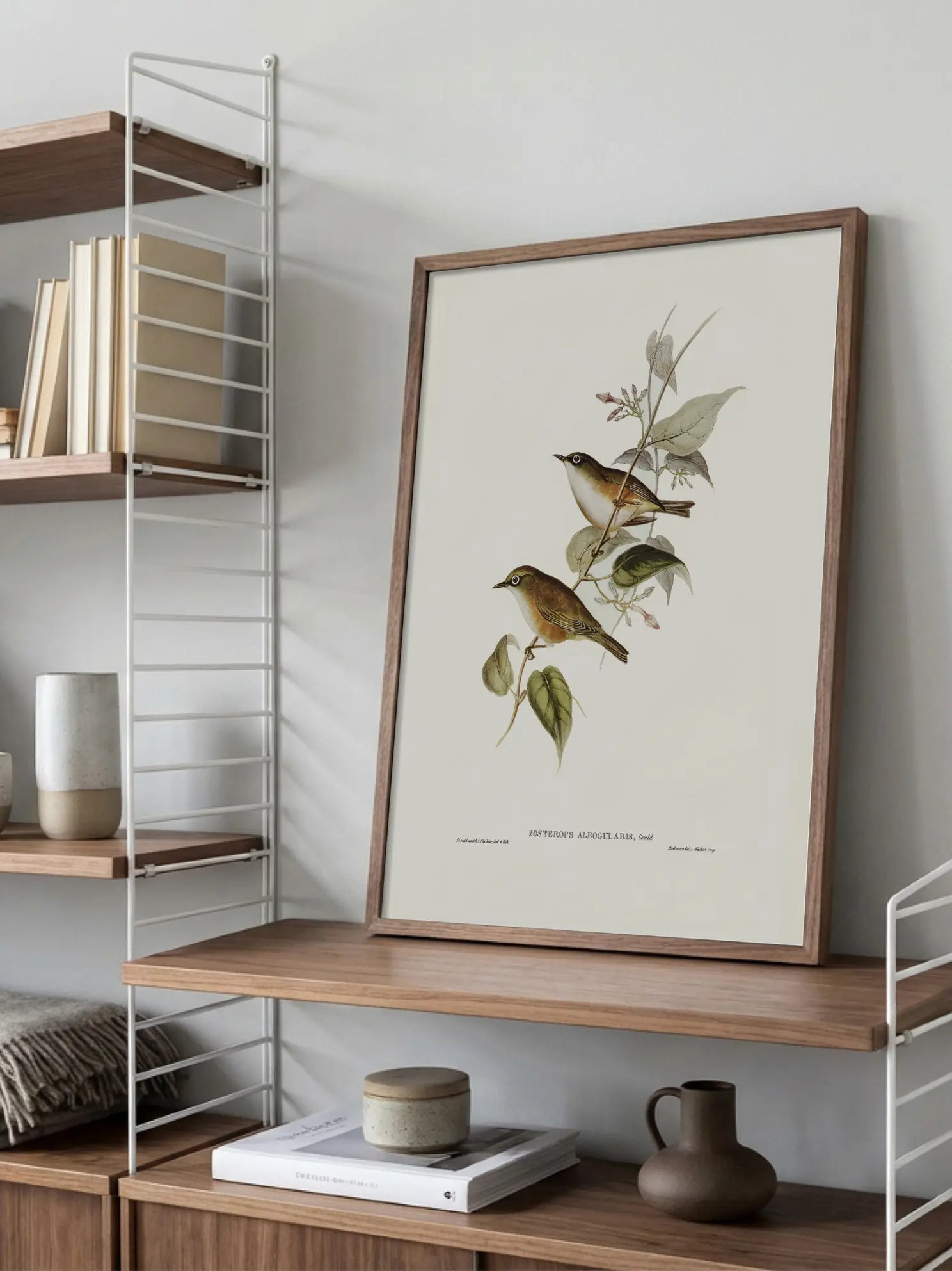 Small Birds Branch Illustration Poster