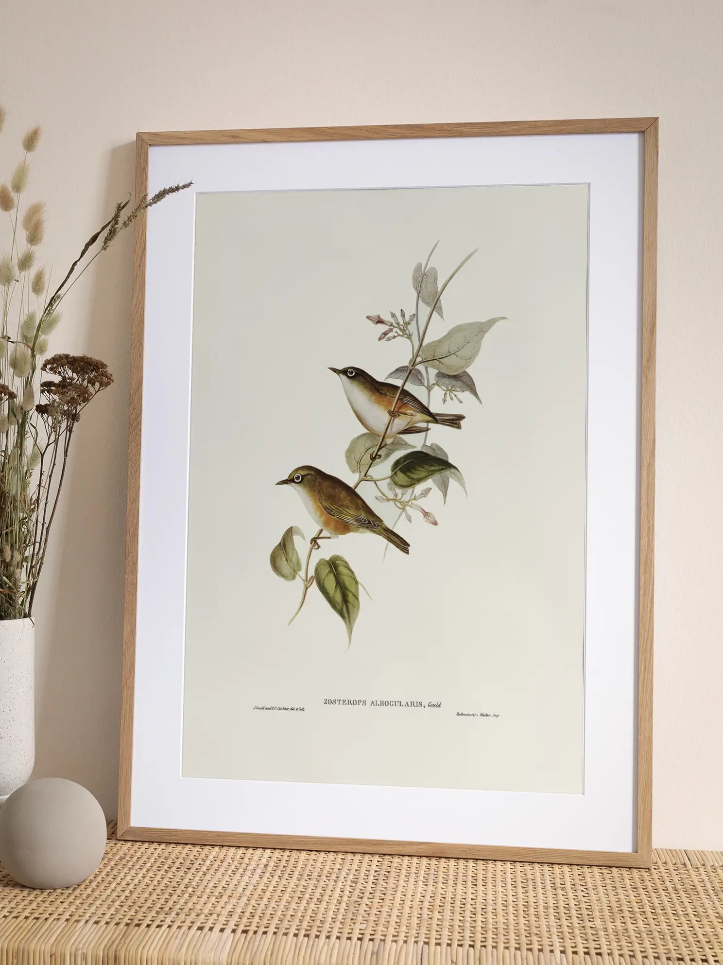 Small Birds Branch Illustration Poster