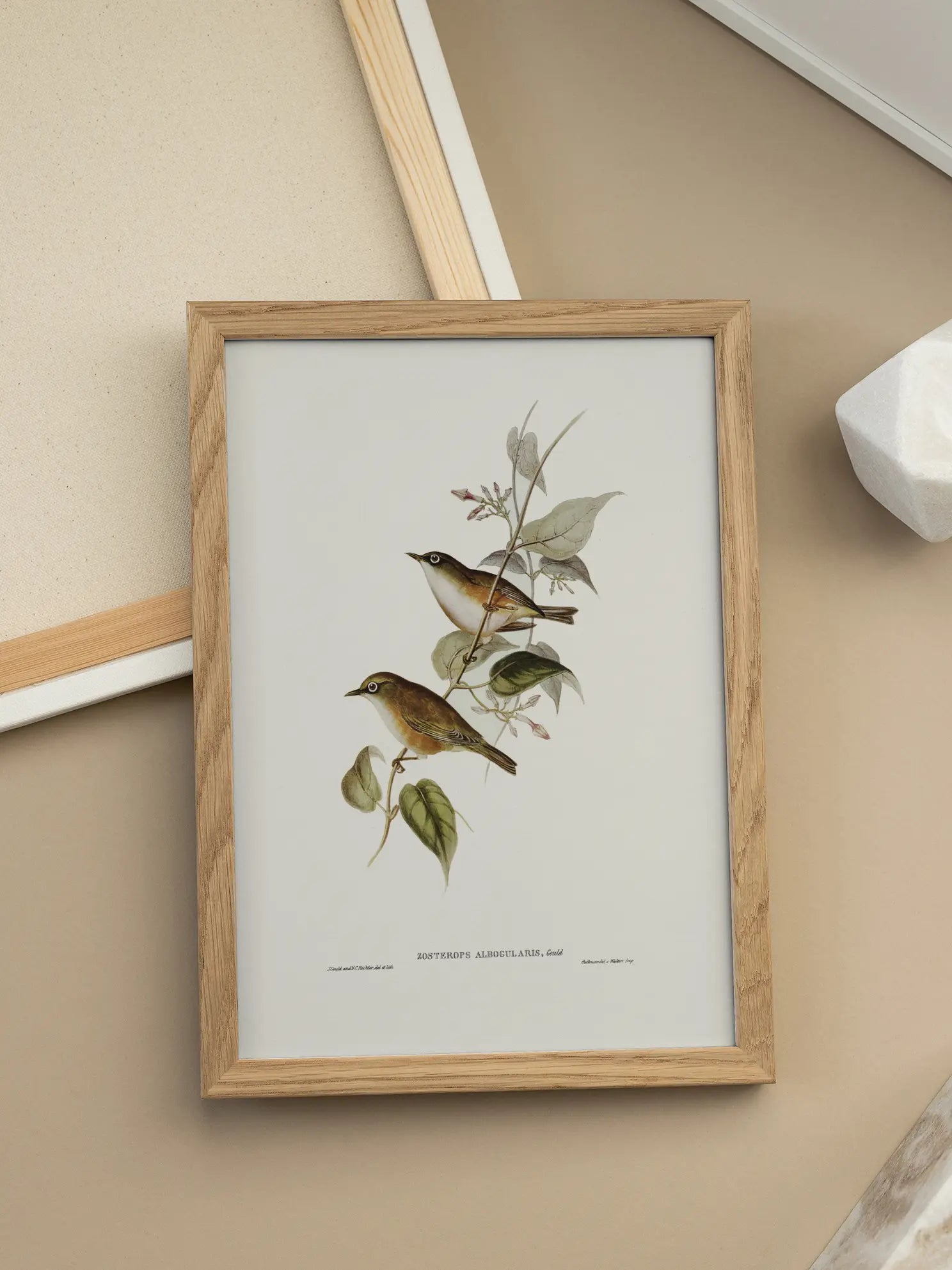 Small Birds Branch Illustration Poster