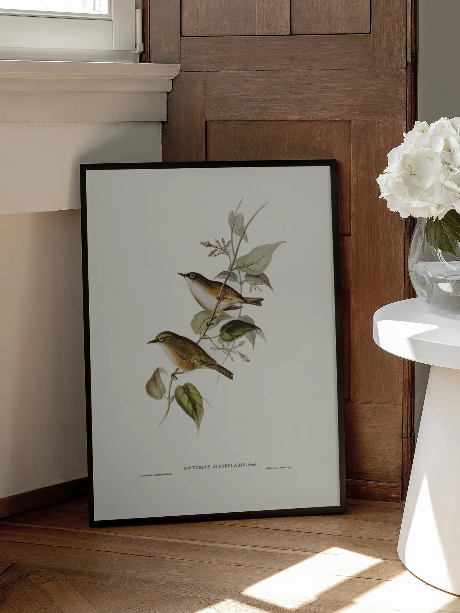 Small Birds Branch Illustration Poster