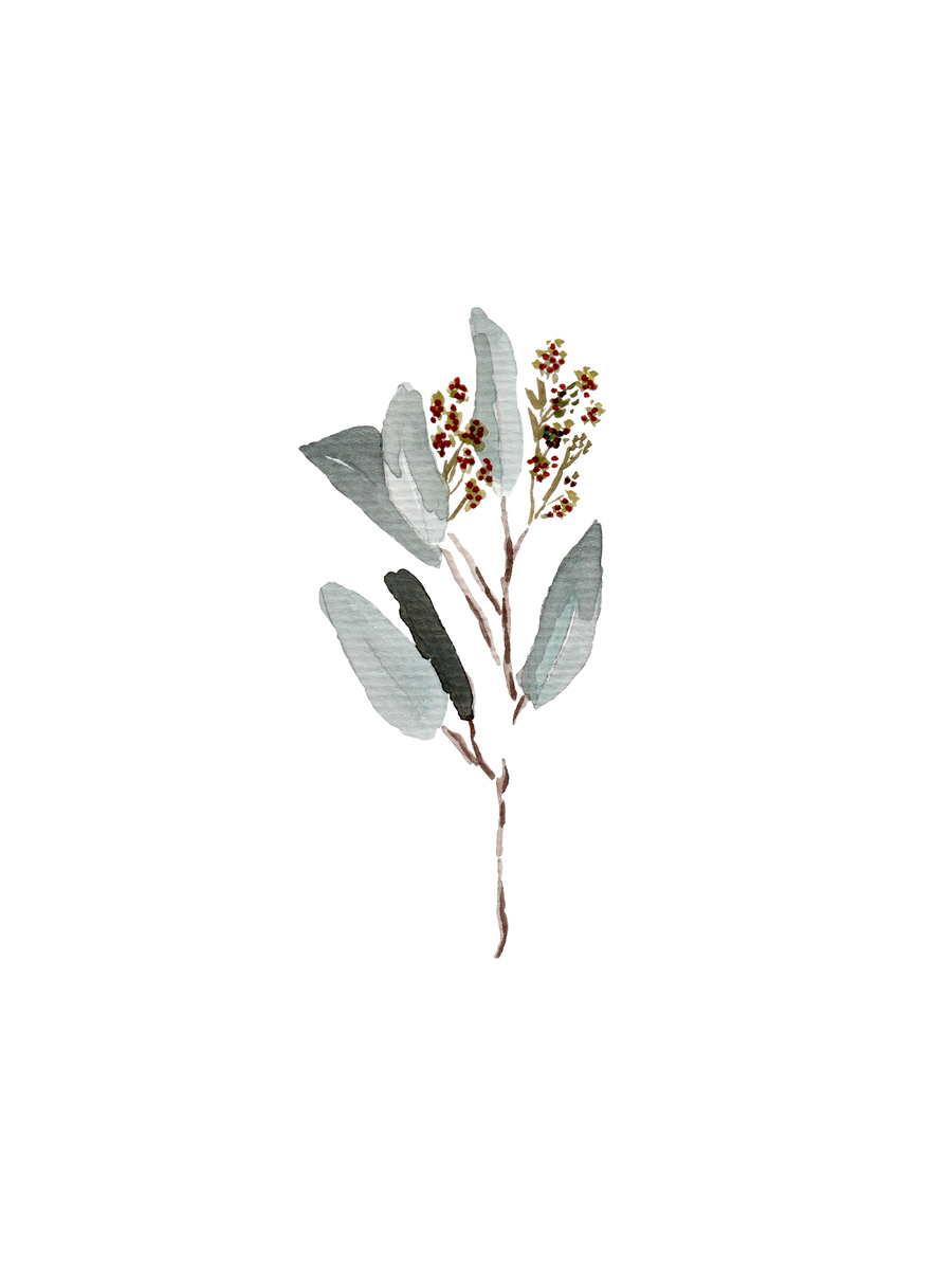 Small Botanical Poster