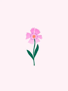 Eine einfache kleine Illustration einer rosa Kornblume mit grünen Blättern auf hellrosa Hintergrund.