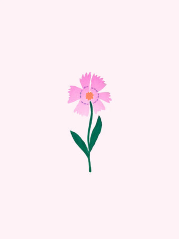 Eine einfache kleine Illustration einer rosa Kornblume mit grünen Blättern auf hellrosa Hintergrund.