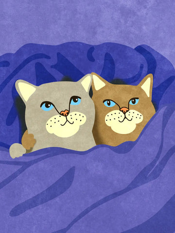 Zwei Katzen mit blauen Augen, eingekuschelt in eine lila Decke.