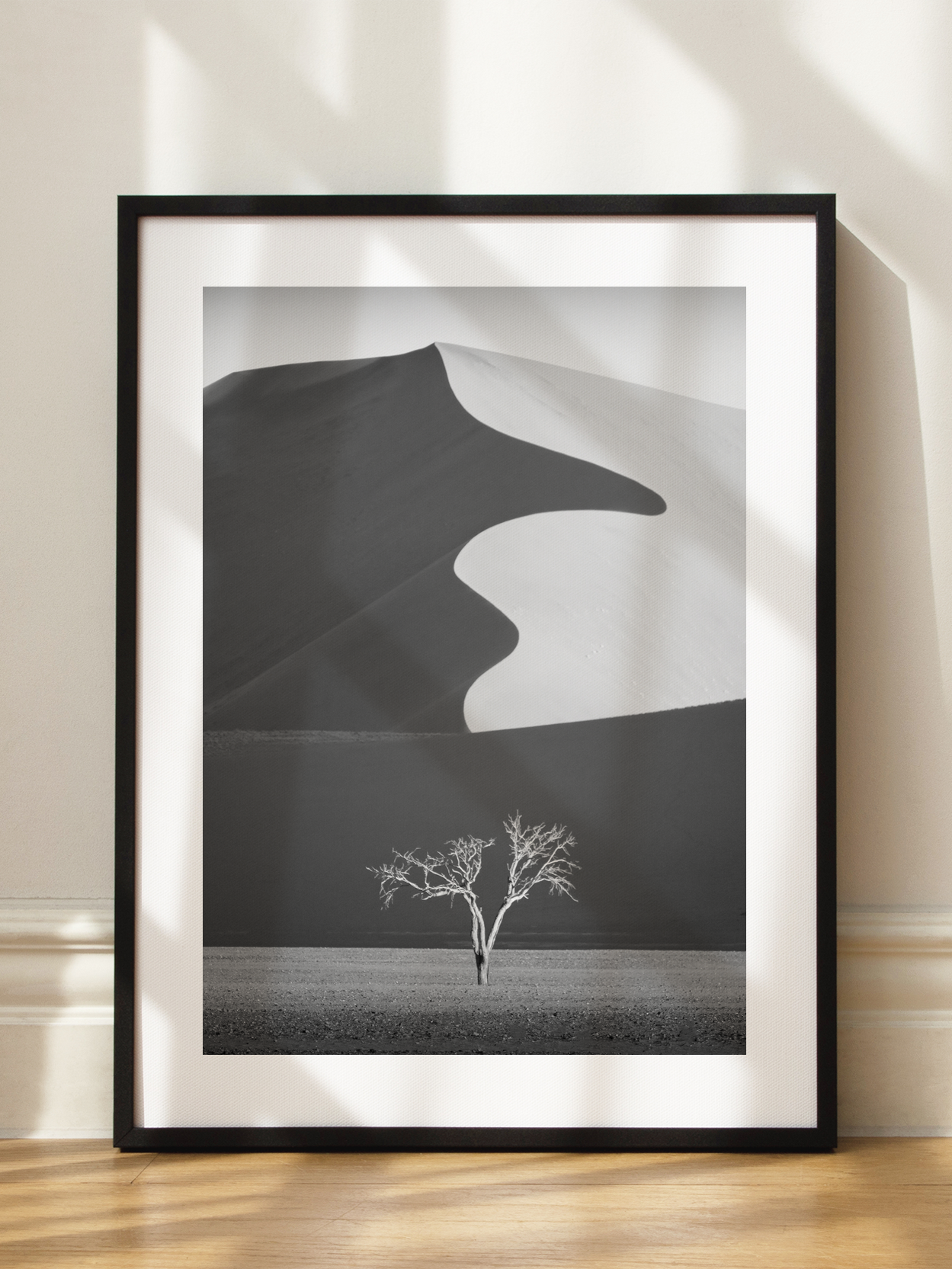 Sossusvlei Dune