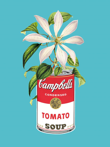 Illustration einer weißen Blume in einer Tomatensuppendose vor einem türkisfarbenen Hintergrund.