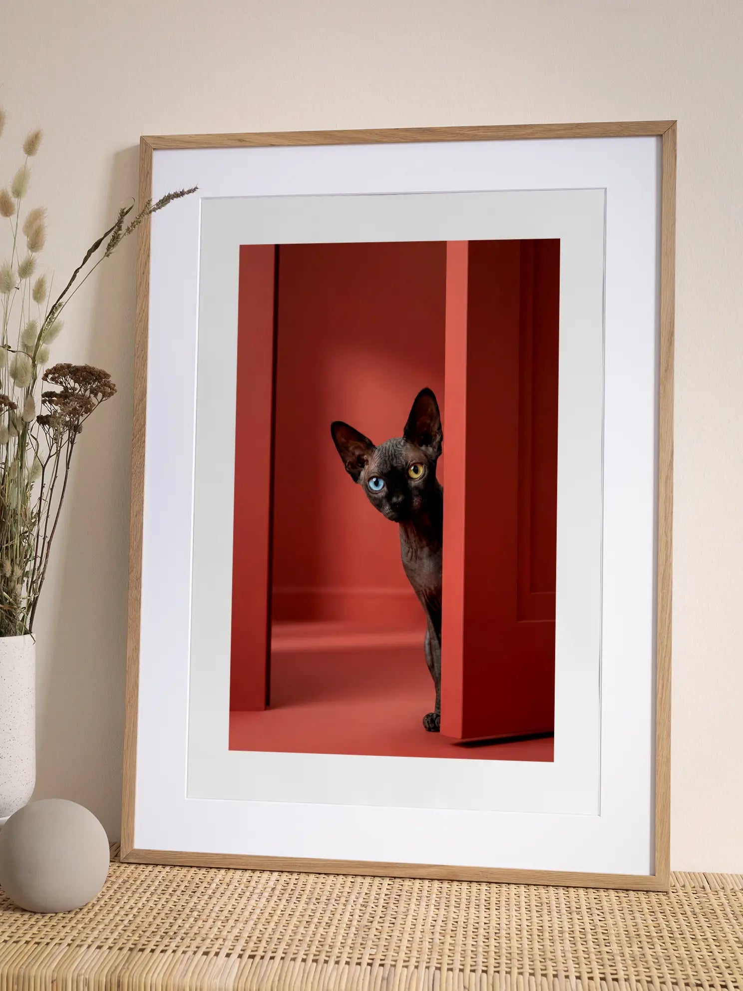 Sphynx Cat Poster