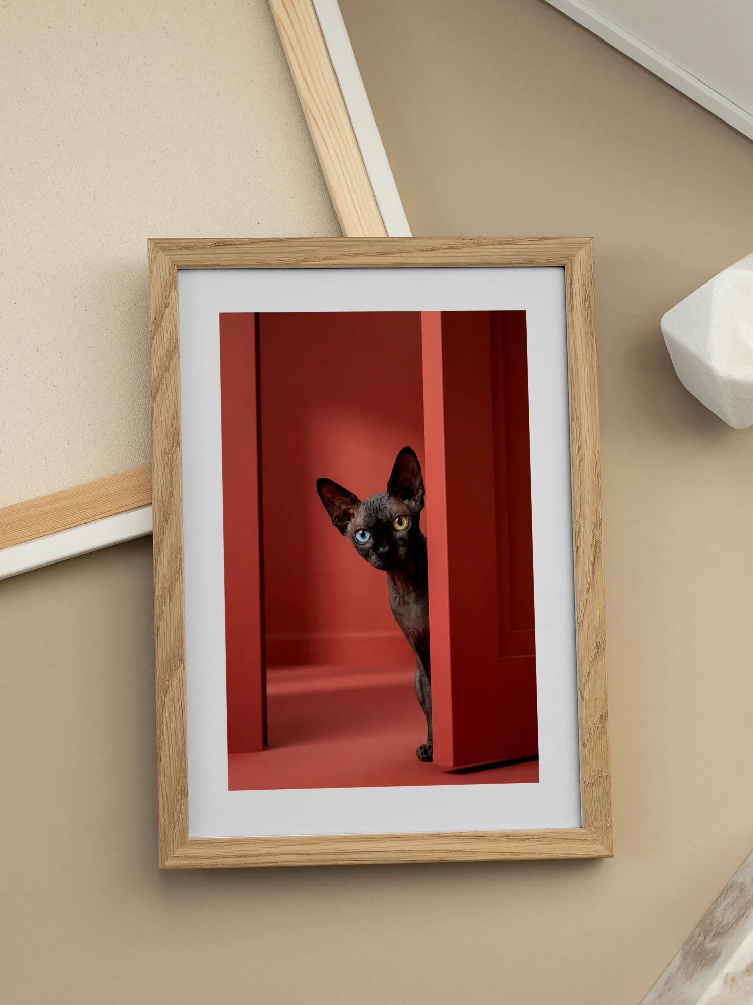 Sphynx Cat Poster