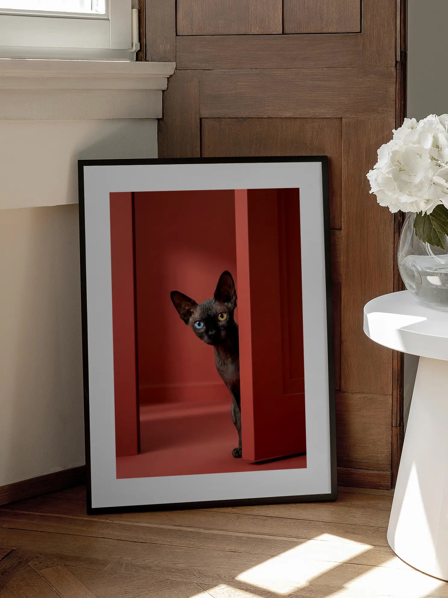 Sphynx Cat Poster