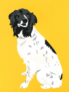 Illustration eines schwarz-weißen Hundes vor einem gelben Hintergrund.