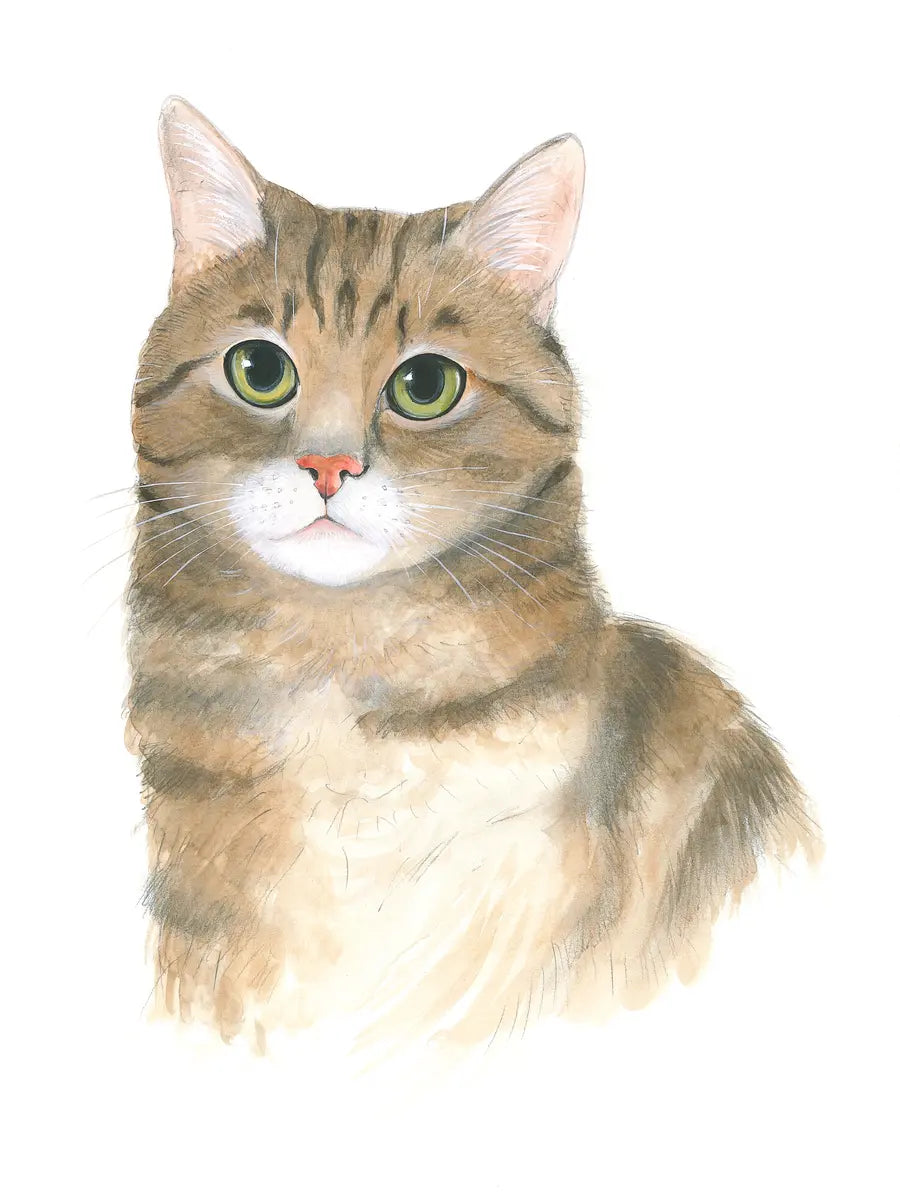 Illustration einer getigerten Katze mit großen Augen vor einem schlichten Hintergrund.