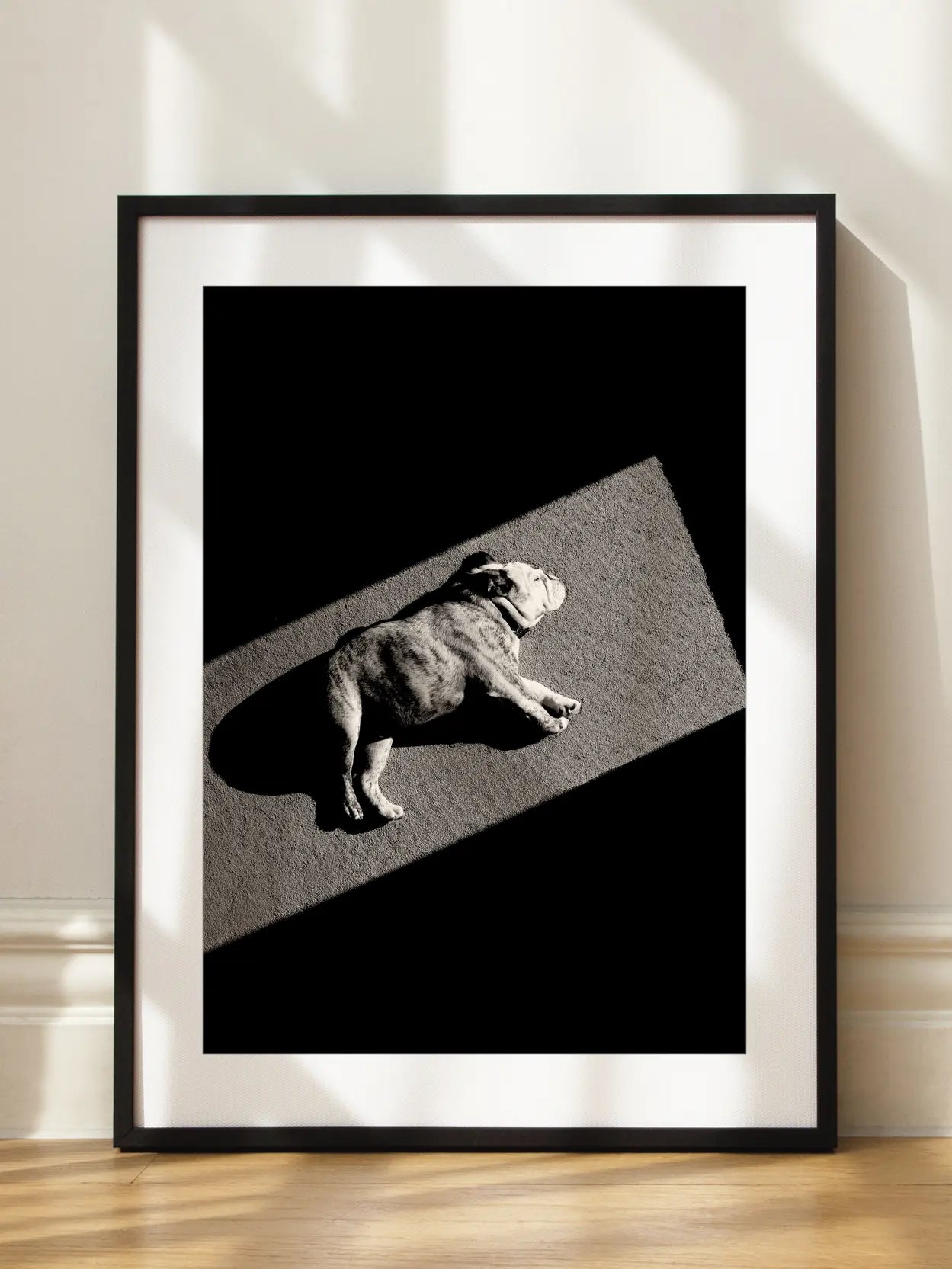 Sunbathing Dog Poster