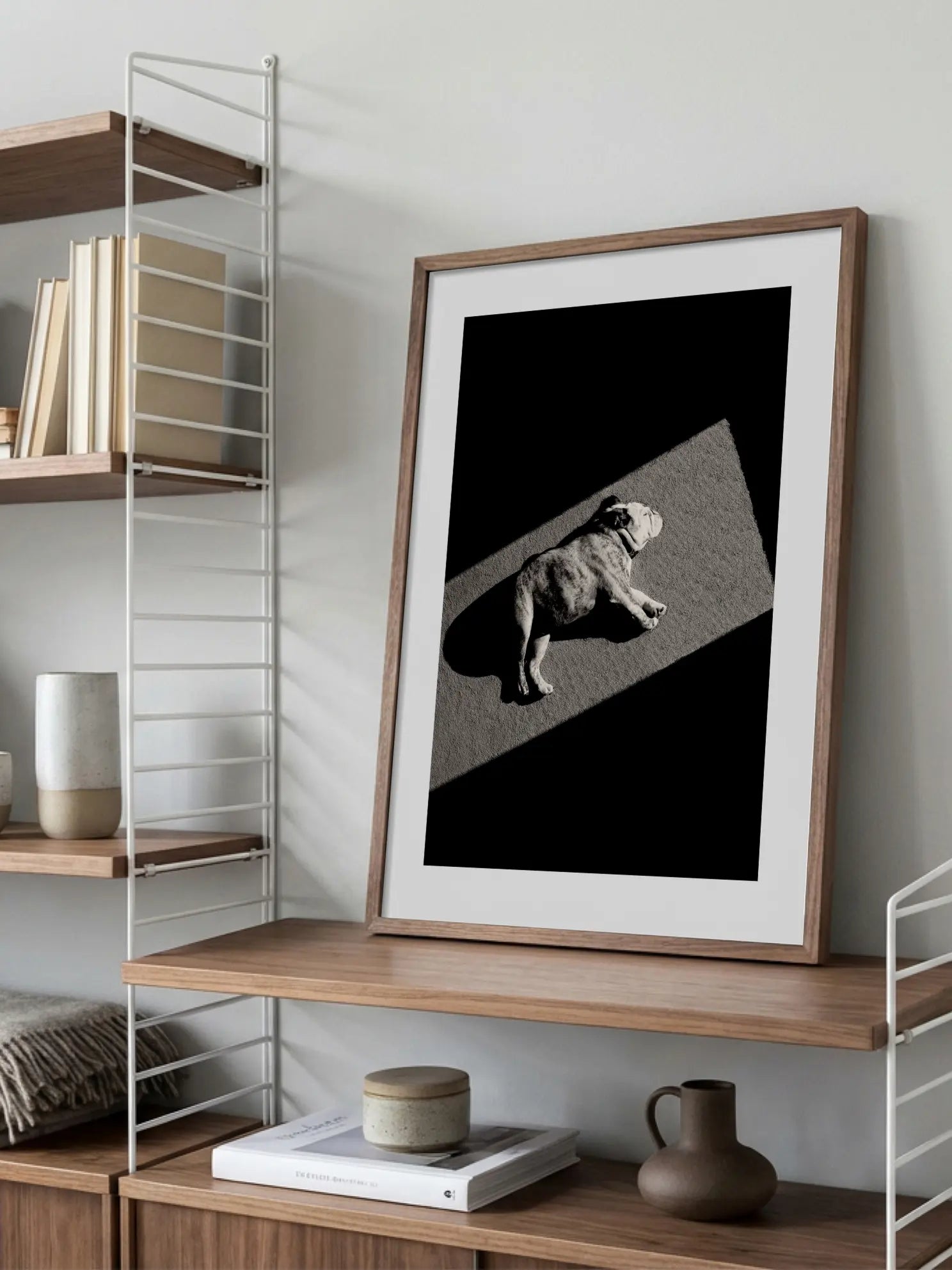 Sunbathing Dog Poster