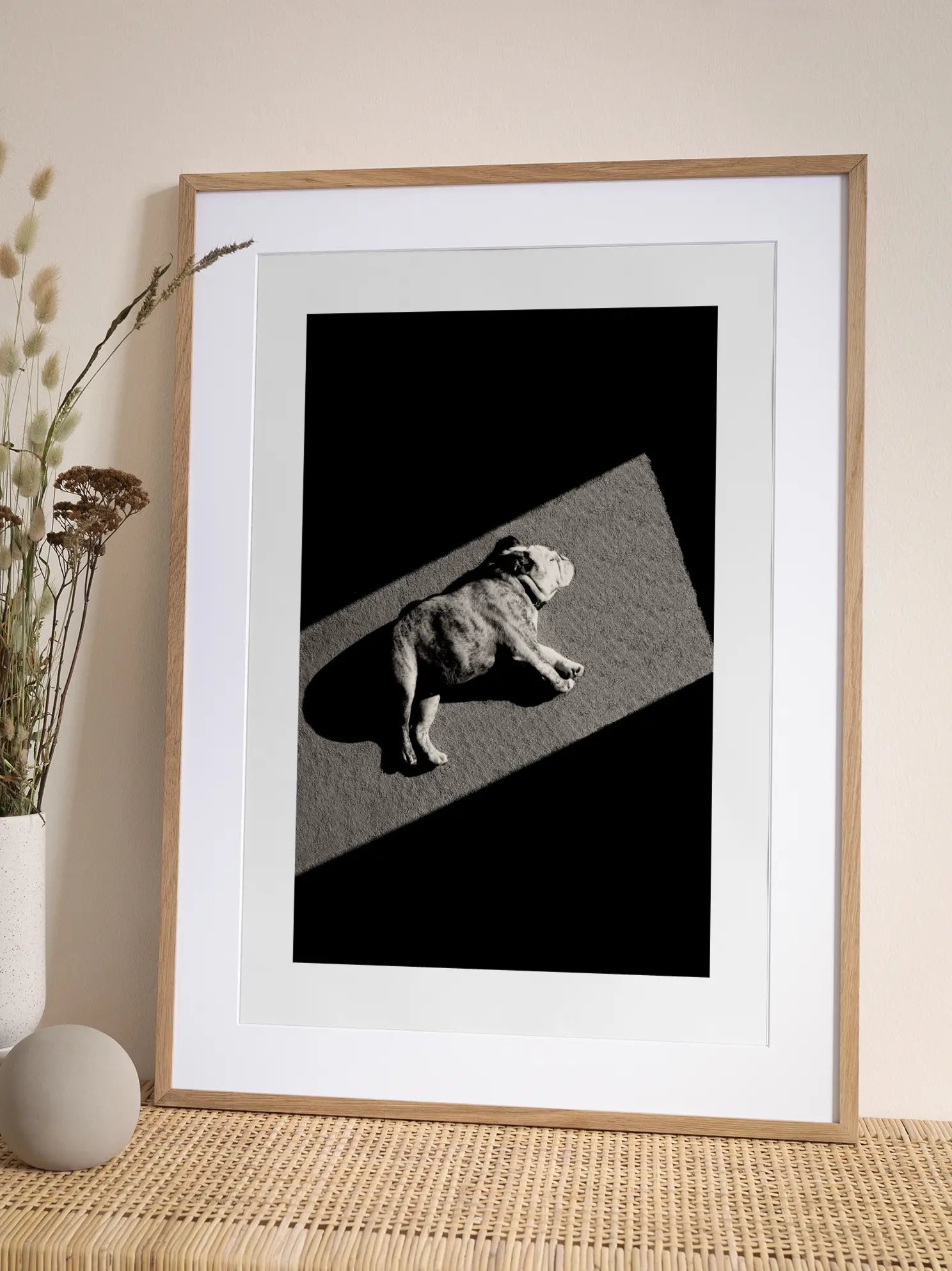 Sunbathing Dog Poster