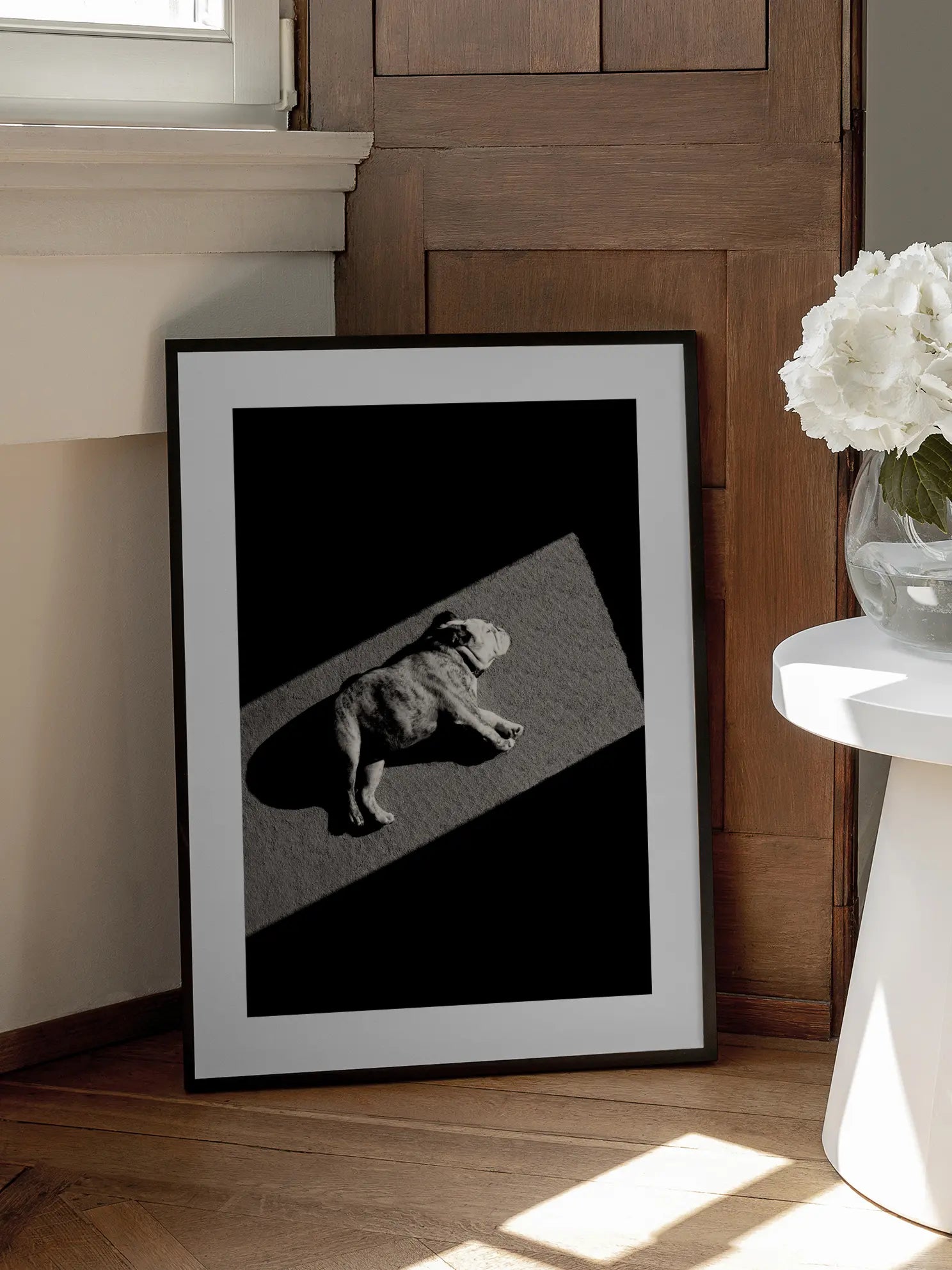 Sunbathing Dog Poster