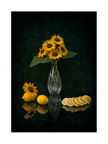 Stillleben mit Sonnenblumen in einer Vase und Zitronen auf dunklem Hintergrund.