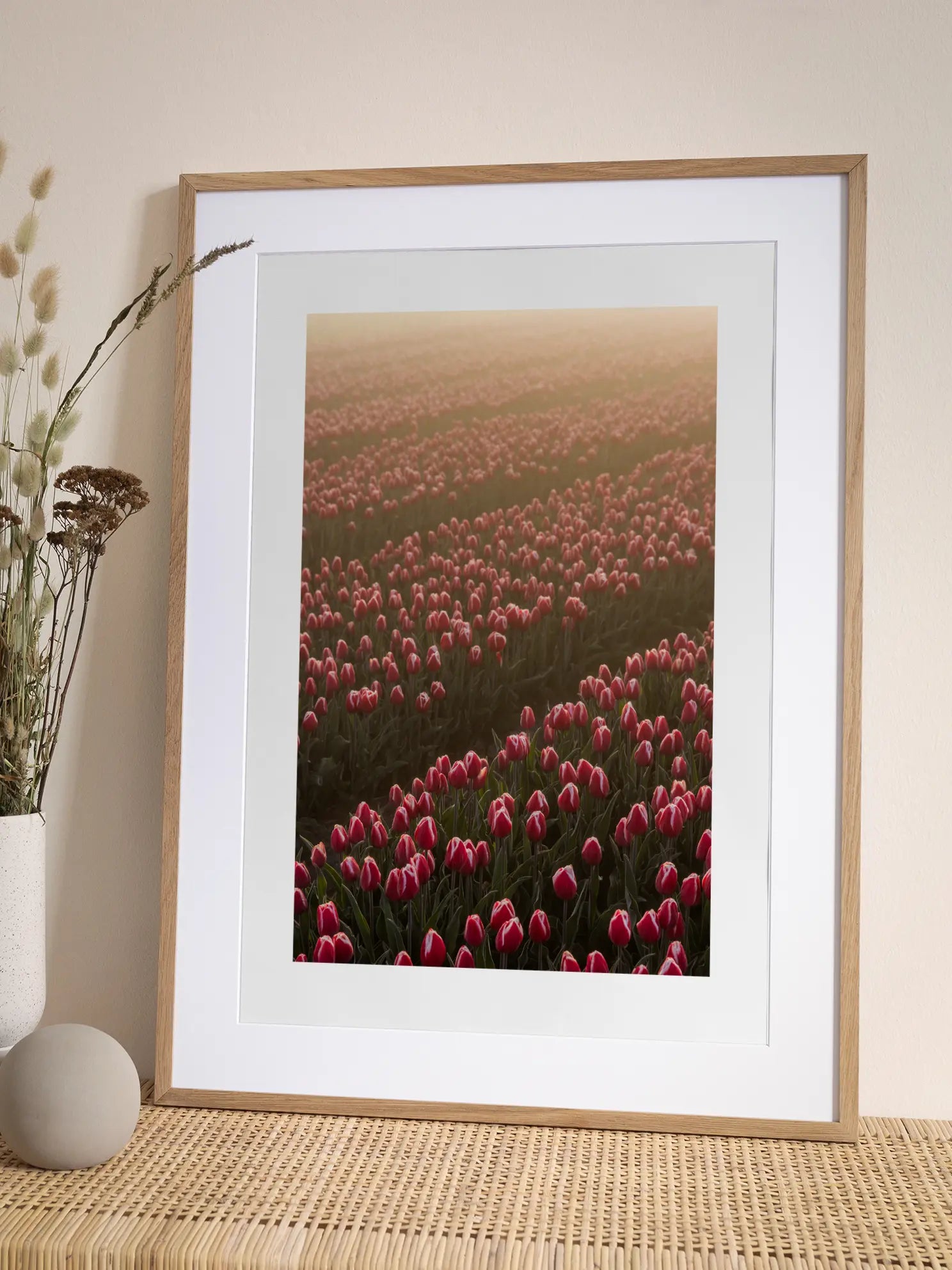 Sunrise Over Tulip Field Poster
