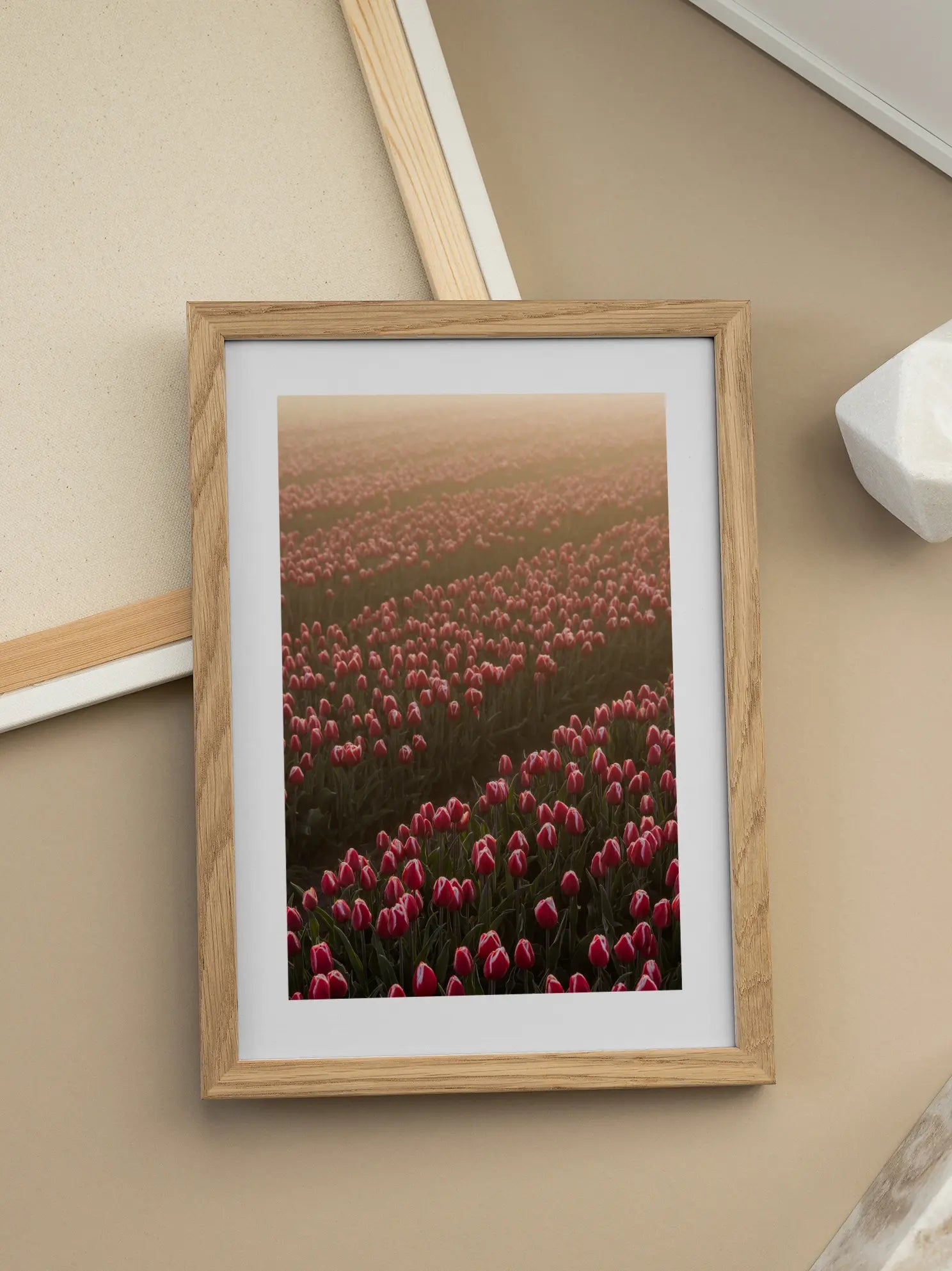 Sunrise Over Tulip Field Poster