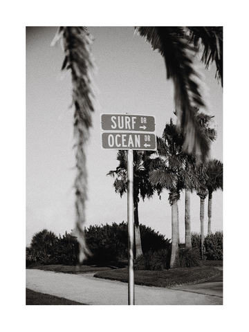 Schwarzweiß-Fotografie eines Straßenschildes mit den Aufschriften „Surf Dr“ und „Ocean Dr“, umgeben von Palmen.