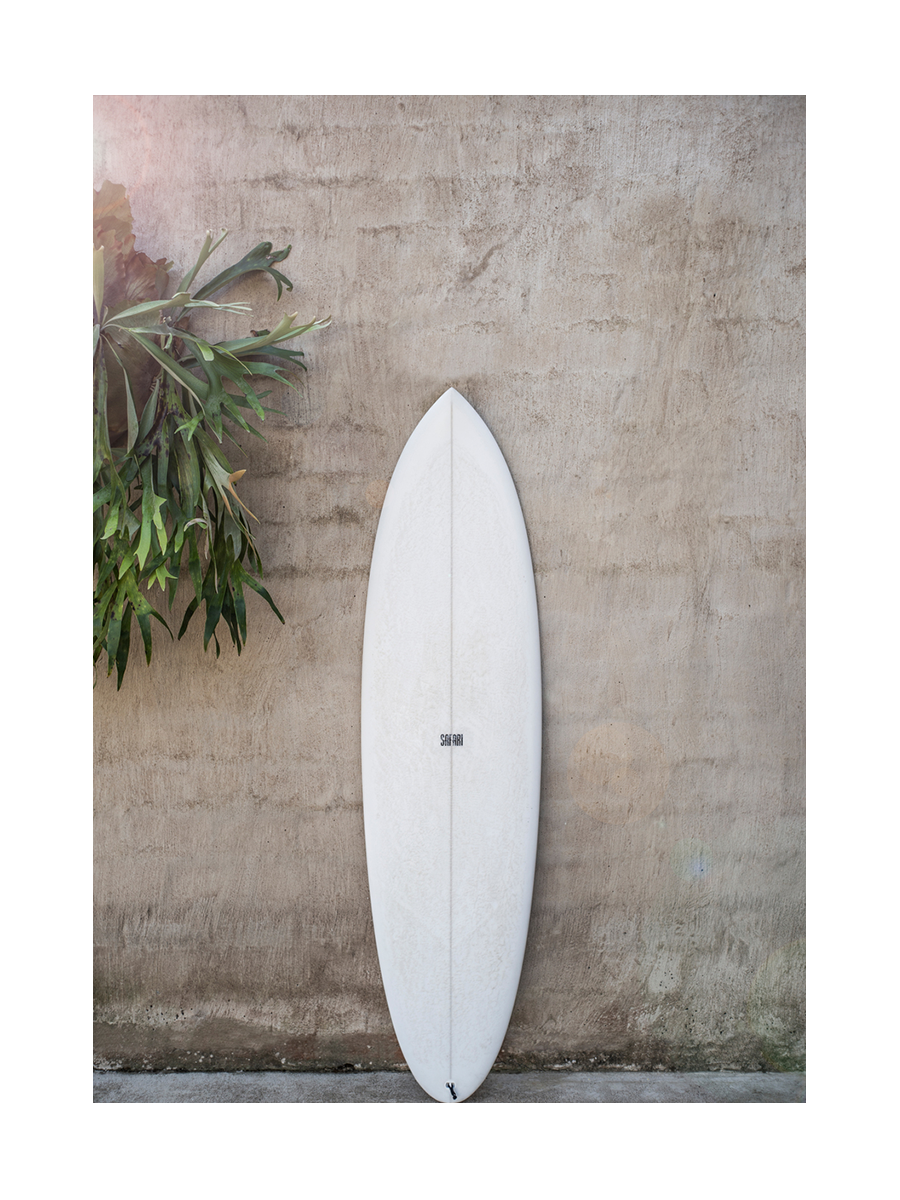Fotografie eines weißen Surfbretts vor einer beigen Wand mit grünen Pflanzen daneben.