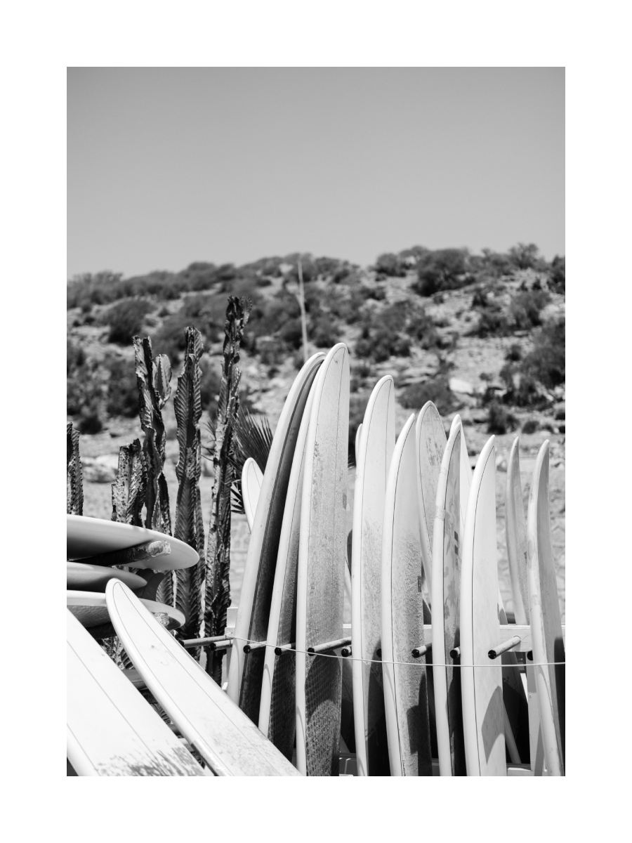 Schwarz-weiß-Fotografie von Surfbrettern neben Kakteen mit einem Berg im Hintergrund.