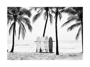 Schwarz-Weiß-Fotografie von Surfbrettern am Strand zwischen Palmen.