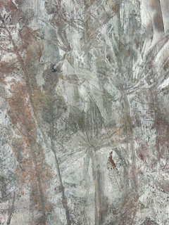 Texturierte botanische Illustration mit handgemaltem Effekt in erdigen Tönen.