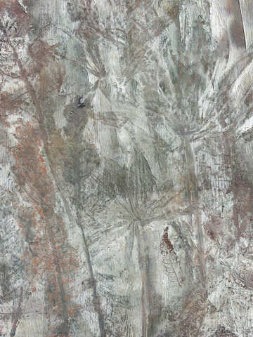 Texturierte botanische Illustration mit handgemaltem Effekt in erdigen Tönen.