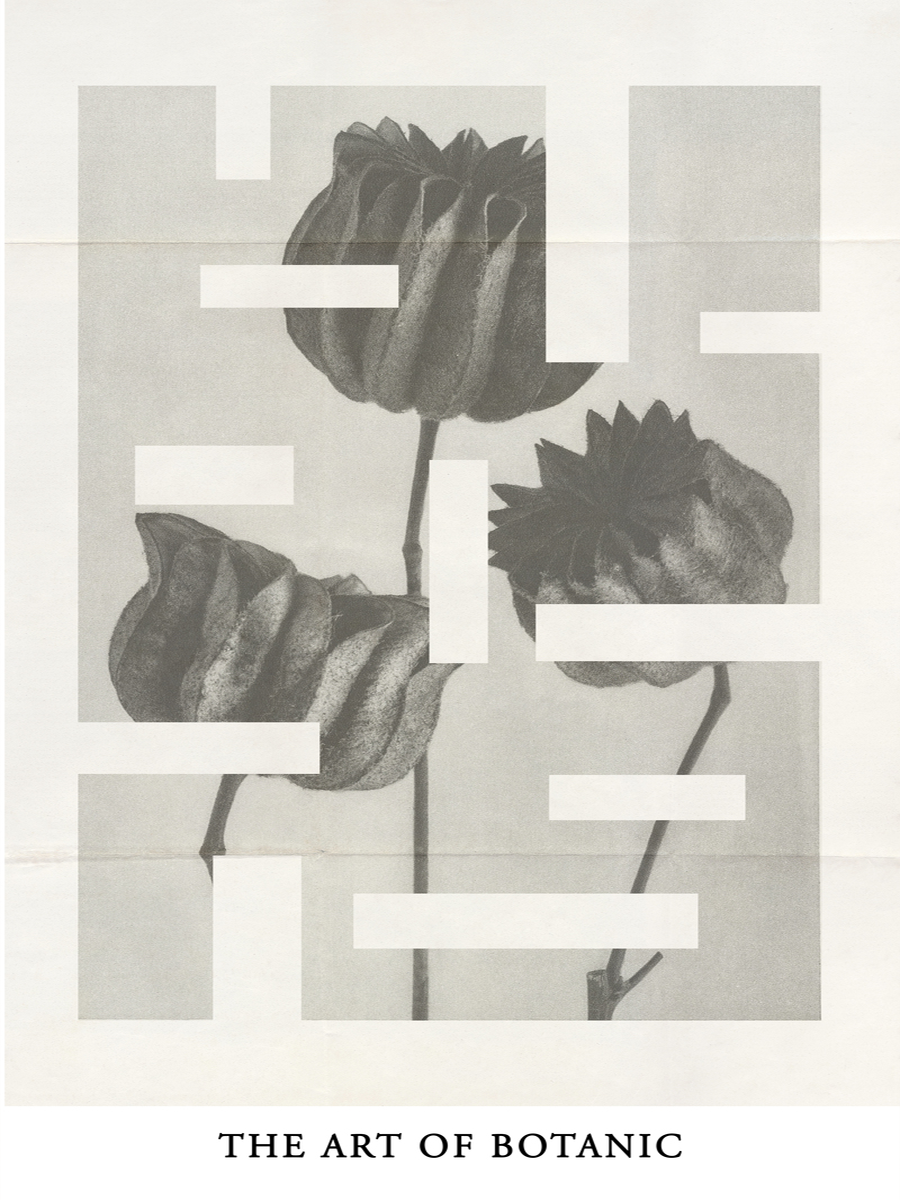 Grafische Illustration mit abstrakten Formen über einer schwarzweißen Blume und dem Text "The art of botanic".