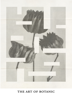 Grafische Illustration mit abstrakten Formen über einer schwarzweißen Blume und dem Text "The art of botanic".