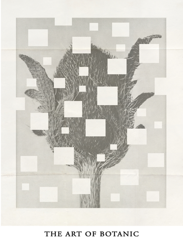 Botanische Illustration mit quadratischen Überlagerungen und dem Text "The art of botanic" darunter.